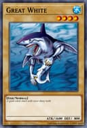 Great White (1st Edition)