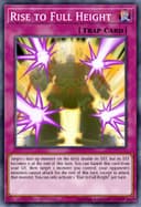 Rise to Full Height (1st Edition)