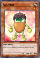 Acorno (1st Edition)