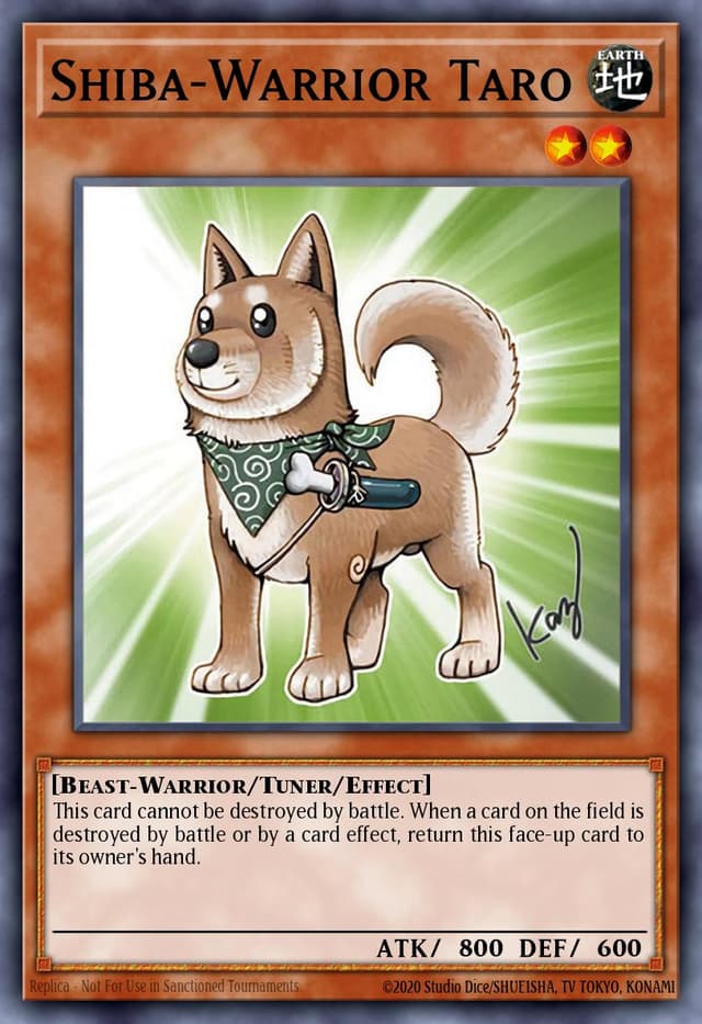 Shiba-Warrior Taro (Limited)