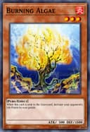Burning Algae (Unlimited)