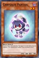 Chrysalis Pantail (1st Edition)