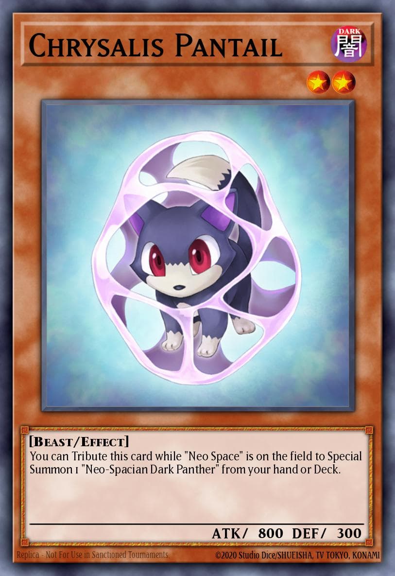 Chrysalis Pantail (1st Edition)