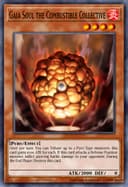 Gaia Soul the Combustible Collective (1st Edition)