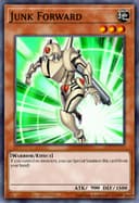 Junk Forward (1st Edition)