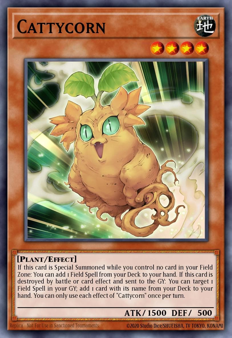 Cattycorn (1st Edition)