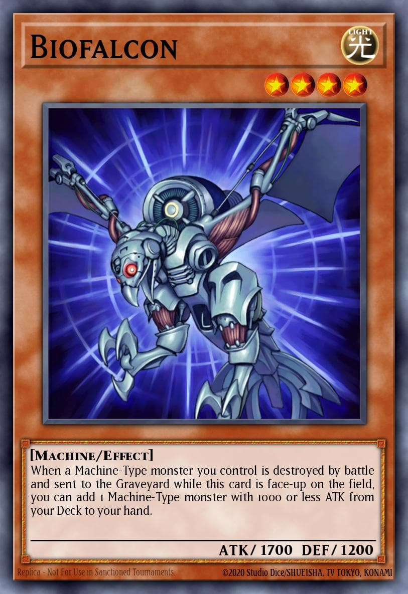 Biofalcon (1st Edition)