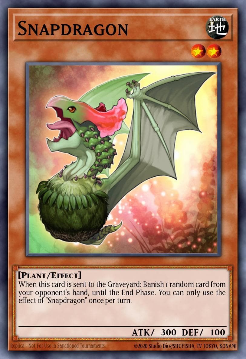 Snapdragon (1st Edition)