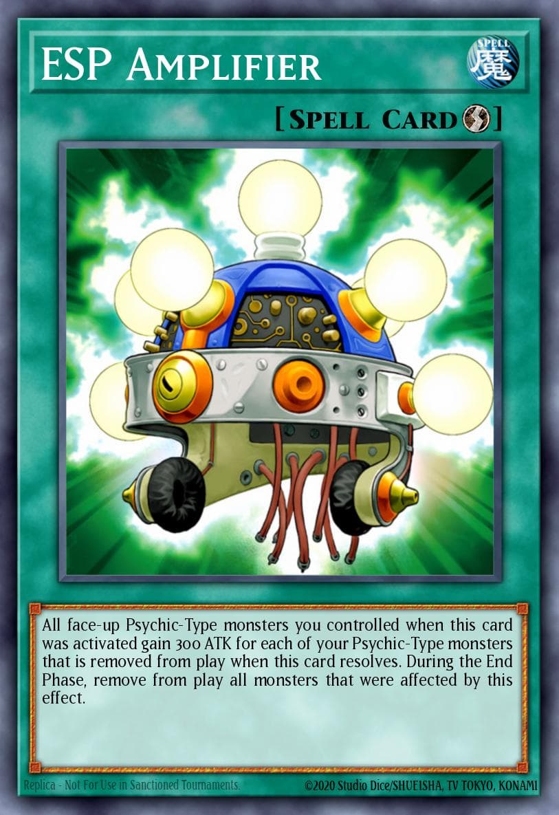 ESP Amplifier (1st Edition)