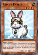 Rescue Rabbit (1st Edition)