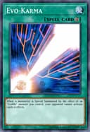 Evo-Karma (1st Edition)