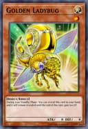 Golden Ladybug (Unlimited)