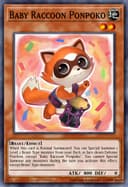 Baby Raccoon Ponpoko (Unlimited)
